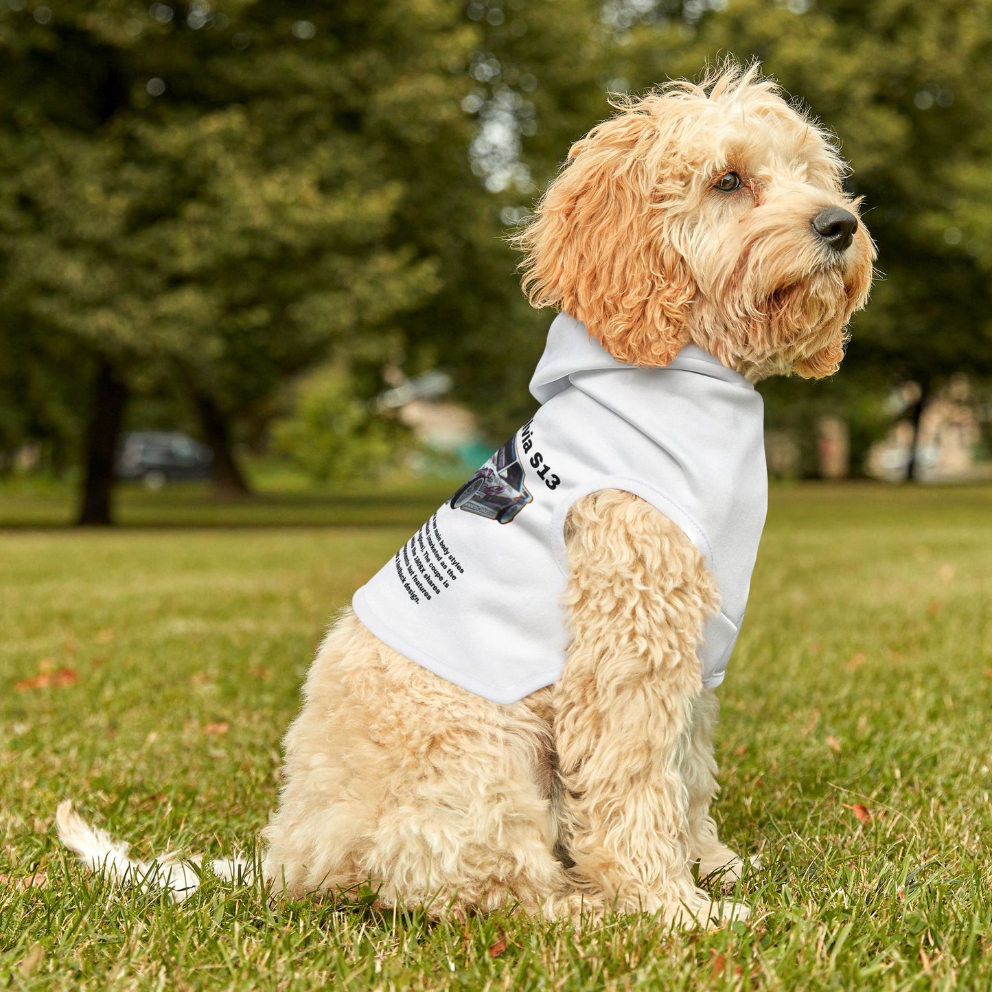 Dog Racing Car Hoodie