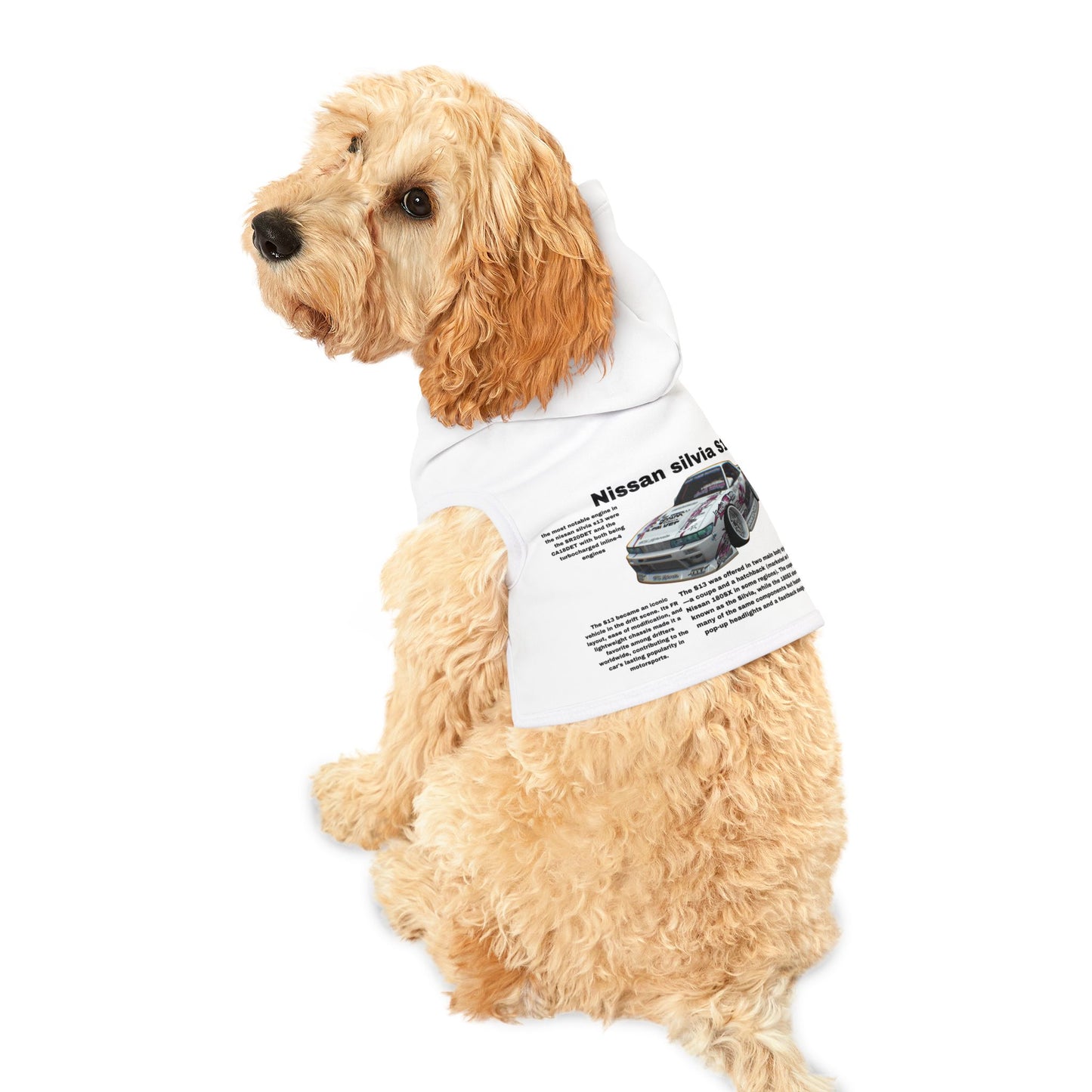 Dog Racing Car Hoodie